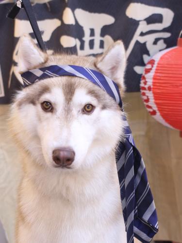 20240612レオくん